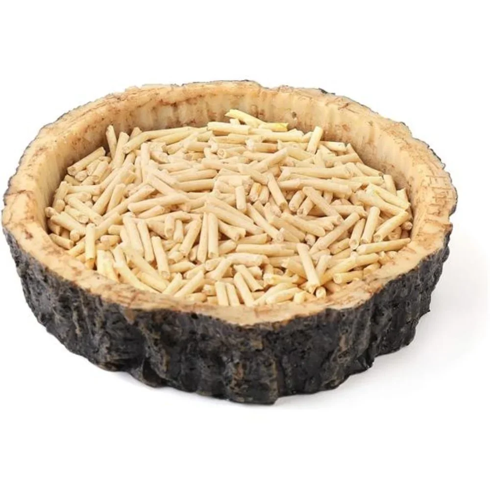 2 Pack Reptile Water and Food Bowls, Novelty Food Bowl for Lizards, Young Dragon